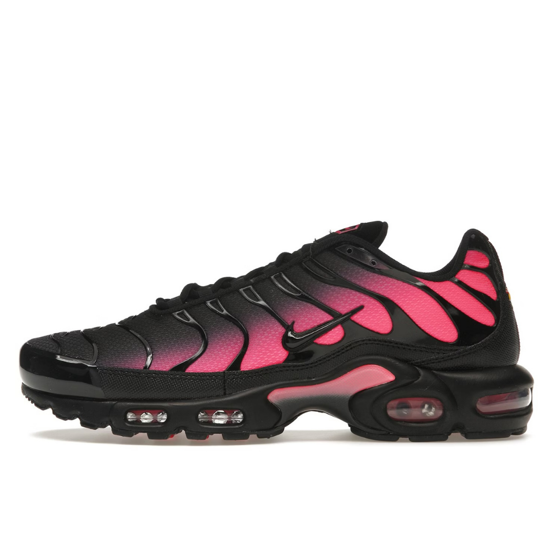 TN Black Pink Gradient