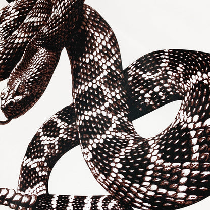 Amr Snake T-shirt