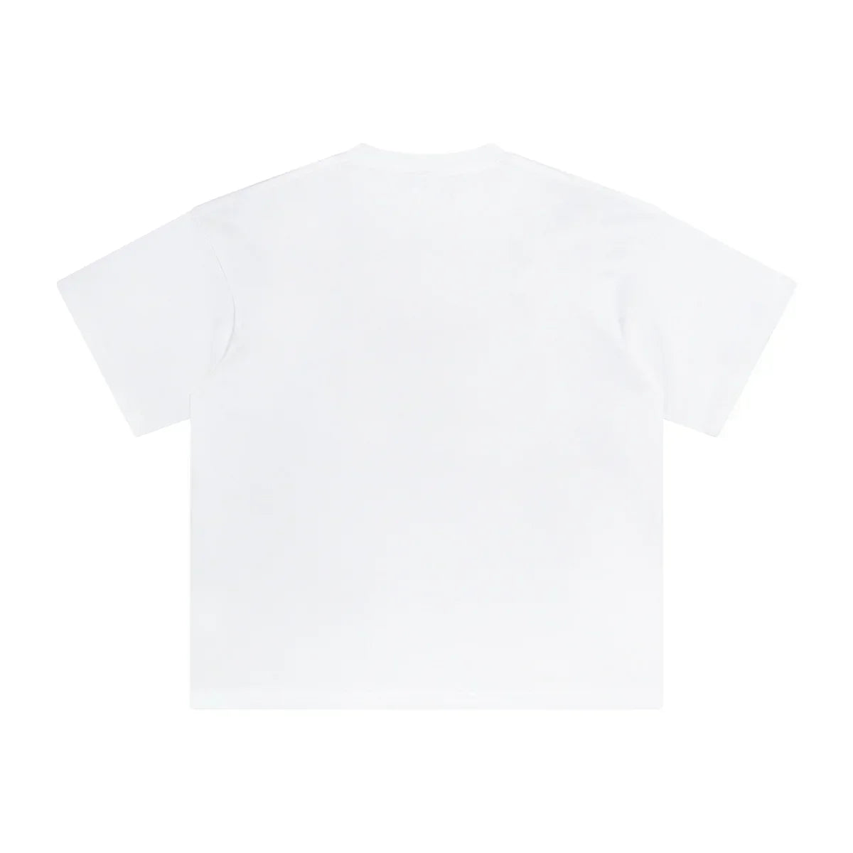 AVELURE EVERYDAY BOXY TEE