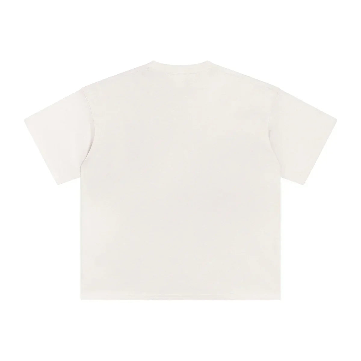 AVELURE EVERYDAY BOXY TEE