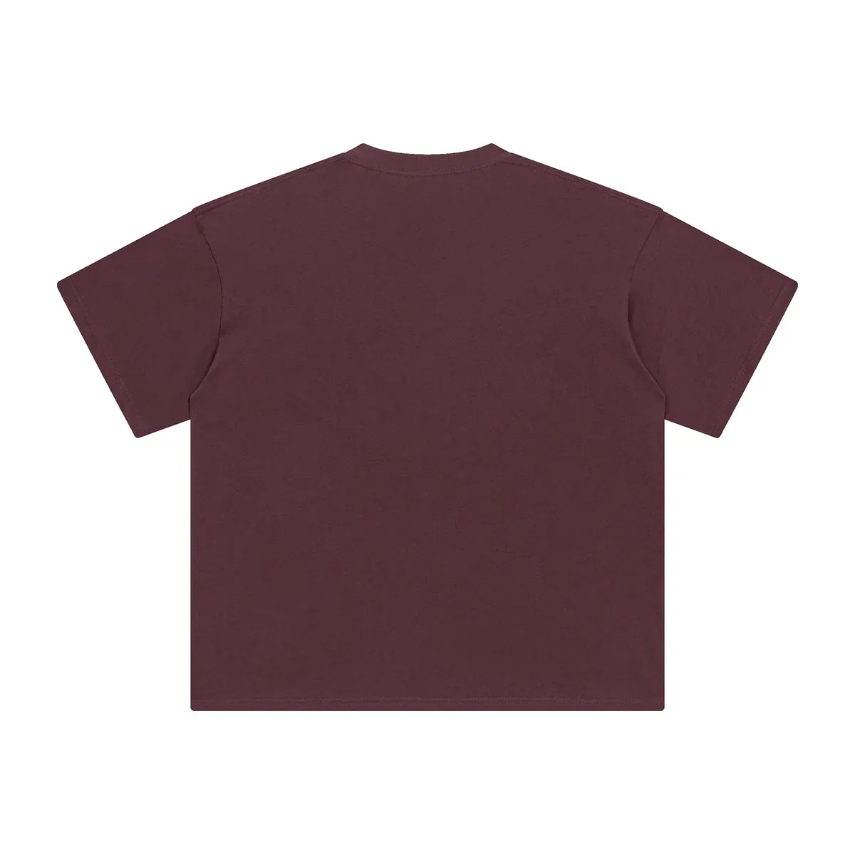 AVELURE EVERYDAY BOXY TEE