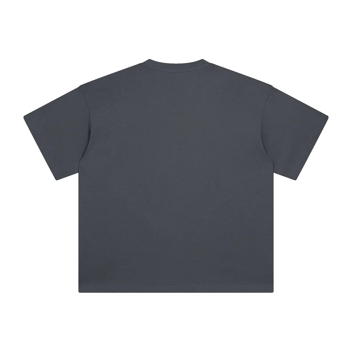 AVELURE EVERYDAY BOXY TEE